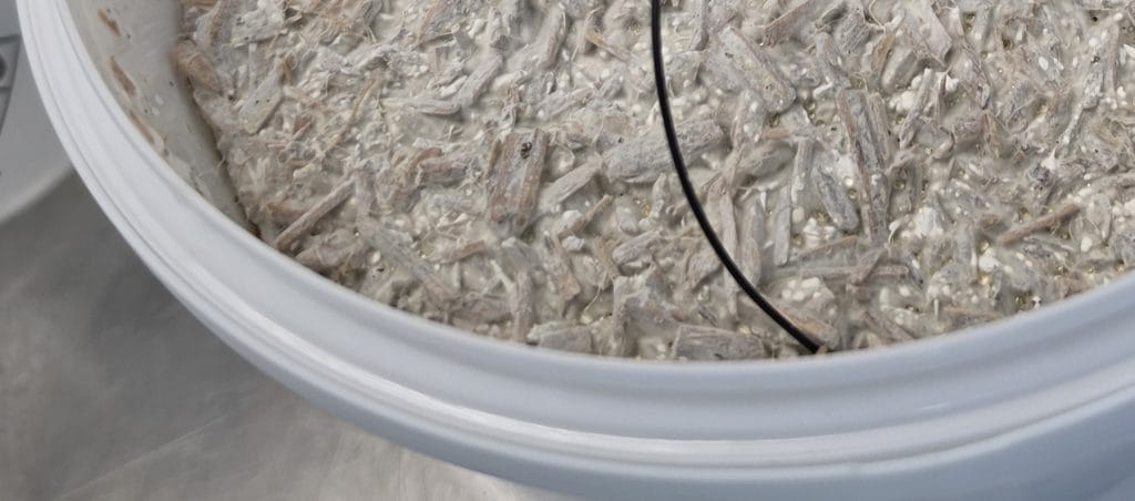 A bucket full of white mycelium covered substance and a wire attached.