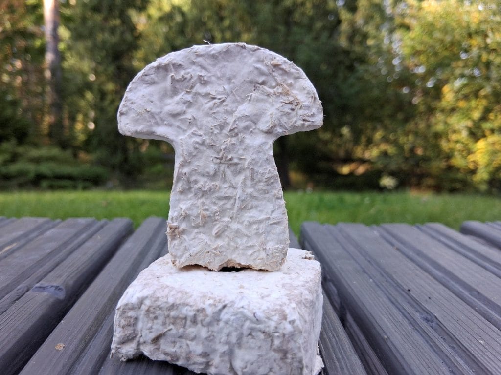 Kuvassa vaalea, sienen muotoinen esine vaalean, neliönmuotoiseen esineen päällä. Esineissä näkyy sienirihmastoa.