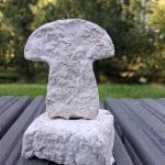 Kuvassa vaalea, sienen muotoinen esine vaalean, neliönmuotoiseen esineen päällä. Esineissä näkyy sienirihmastoa.